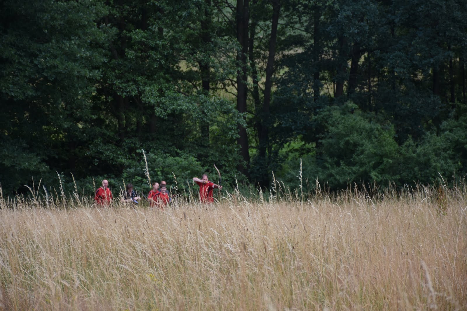 dsc_1706
