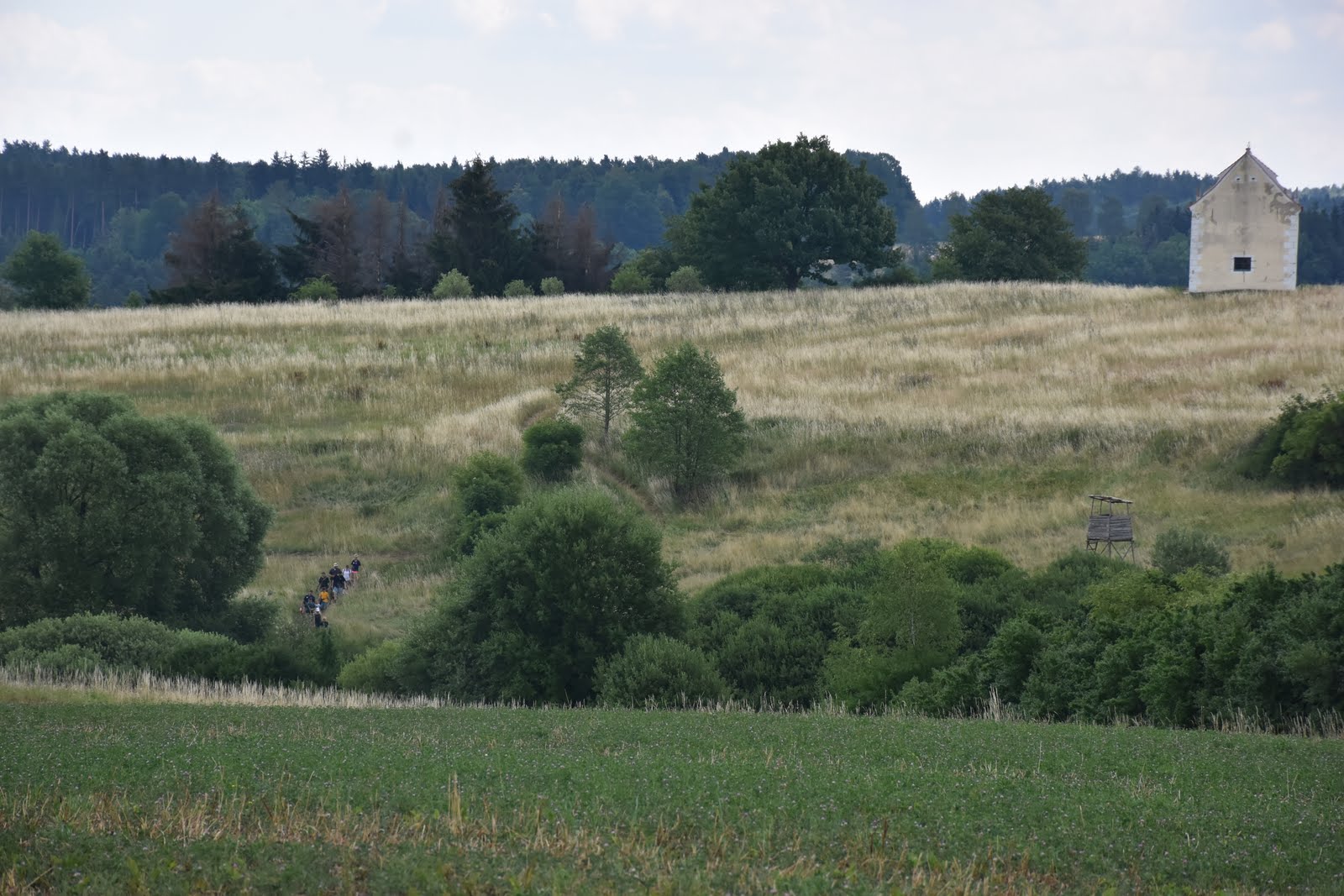 dsc_1721