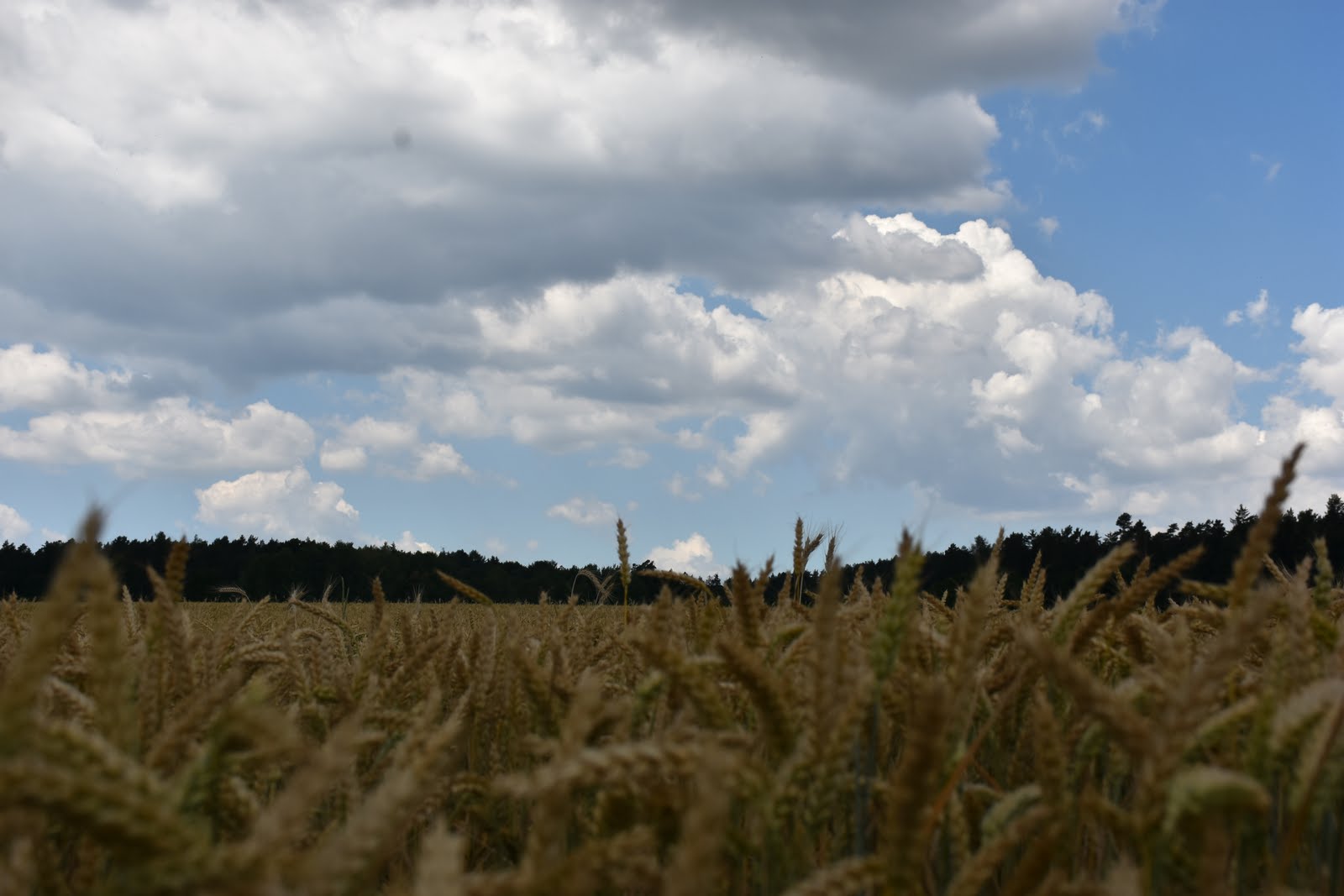 dsc_1722