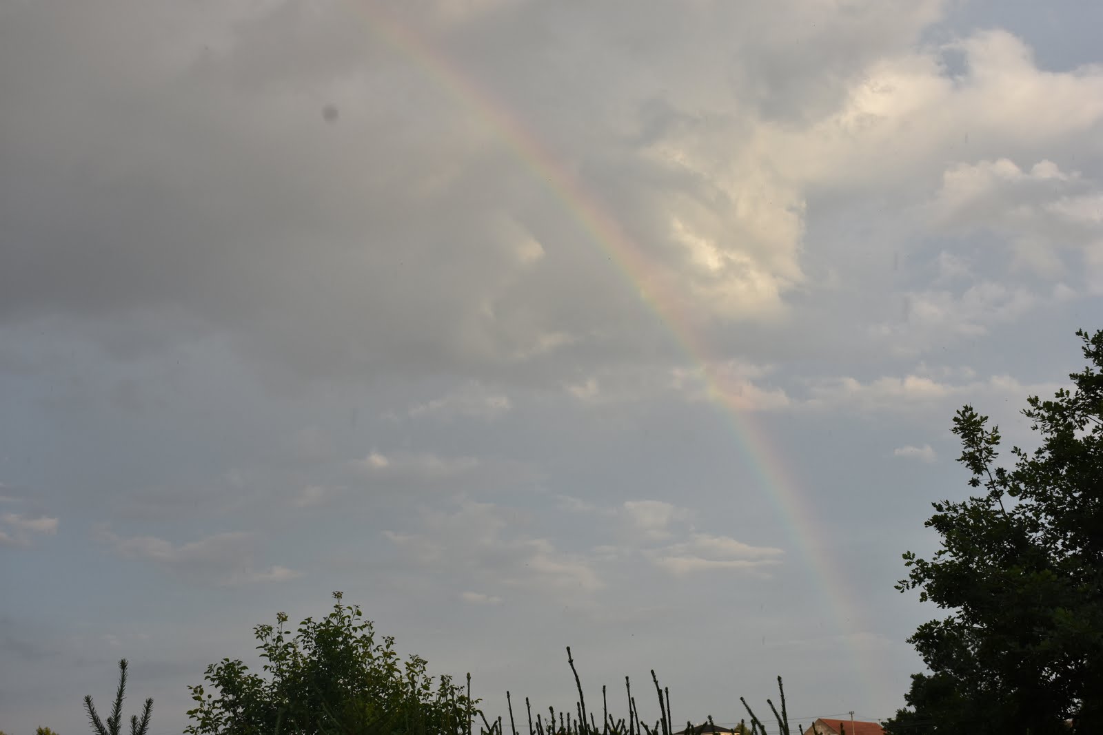 dsc_1929