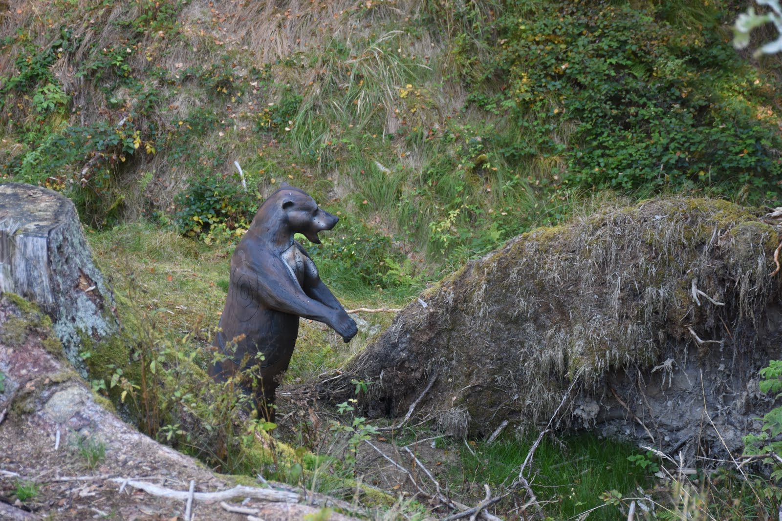 dsc_2710