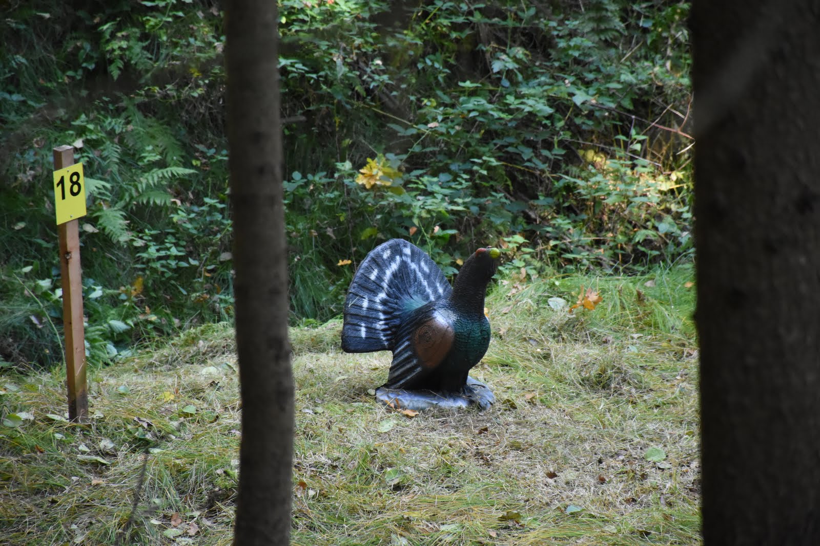 dsc_2726