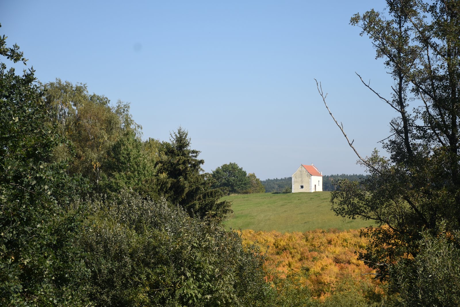 dsc_2846